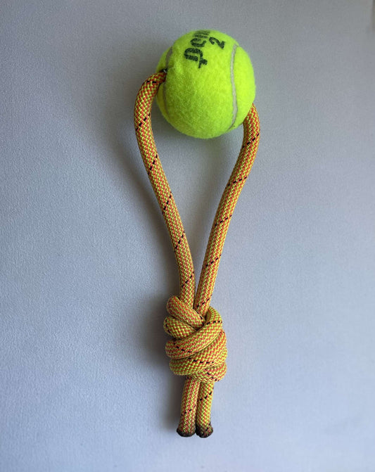 Yellow Tennis Ball Toy